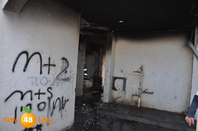 fireshekonatelarab (7).JPG